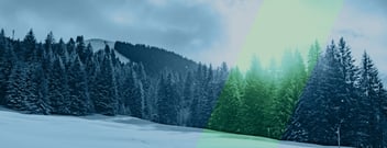 How small business are growing in 2026