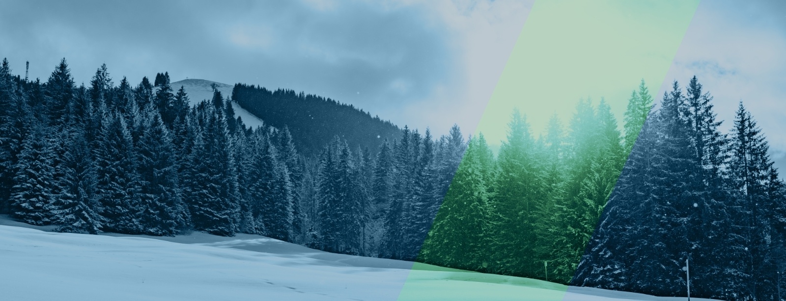 How small business are growing in 2026